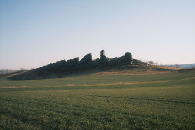 Scenic view of field against clear sky