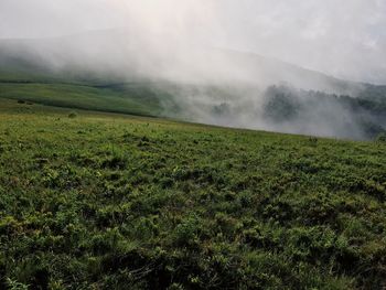 Scenic view of green landscape against sky