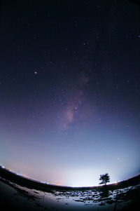 Low angle view of stars against sky at night