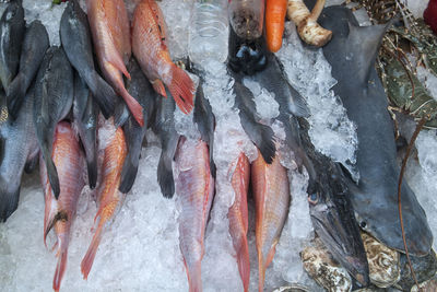 High angle view of fish for sale in market