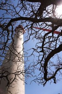 Low angle view of bare tree against sky