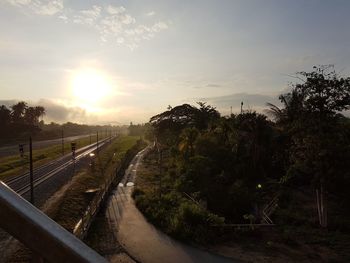 Road with trees in background