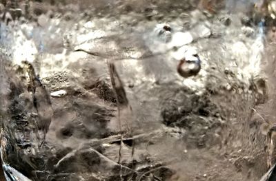 Close-up of water drops on leaf