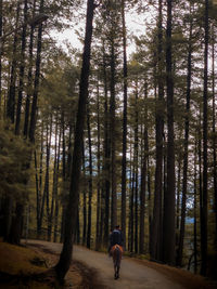 Rear view of man walking in forest