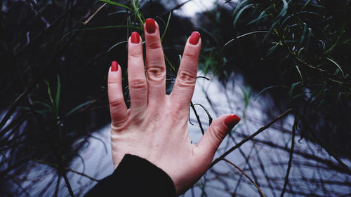 Cropped hand of woman against trees