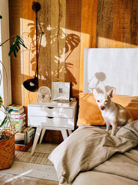 Cat sitting on bed at home