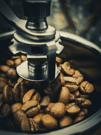 Close-up of coffee beans