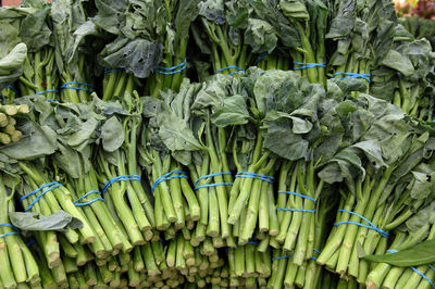 Full frame shot of leaf vegetables for sale in market