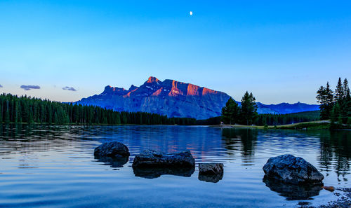 Scenic view of lake against clear blue sky
