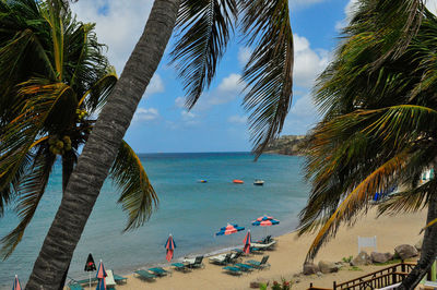 Palm trees on beach against sky