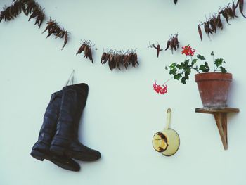 Close-up of boots by potted plant on wall