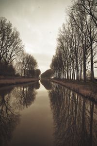 Reflection of bare trees in lake against sky