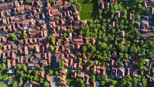 High angle view of trees and buildings in city