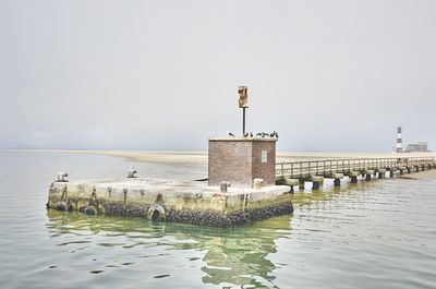 Wooden pier in sea against clear sky with seagulls