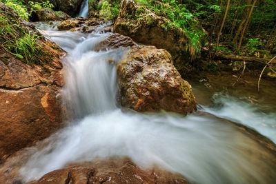 Scenic view of waterfall in forest