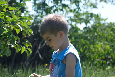 Cute boy looking at apple while standing by tree