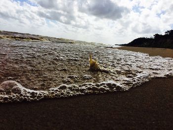 Scenic view of beach against sky