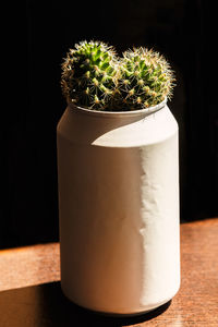 Close-up of potted plant on table