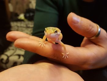 Close-up of man holding hands