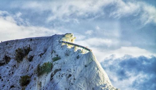 Low angle view of animal on rock against sky