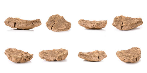 Close-up of cookies against white background