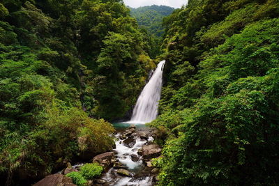 Waterfall in forest