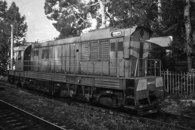 Train by trees against sky