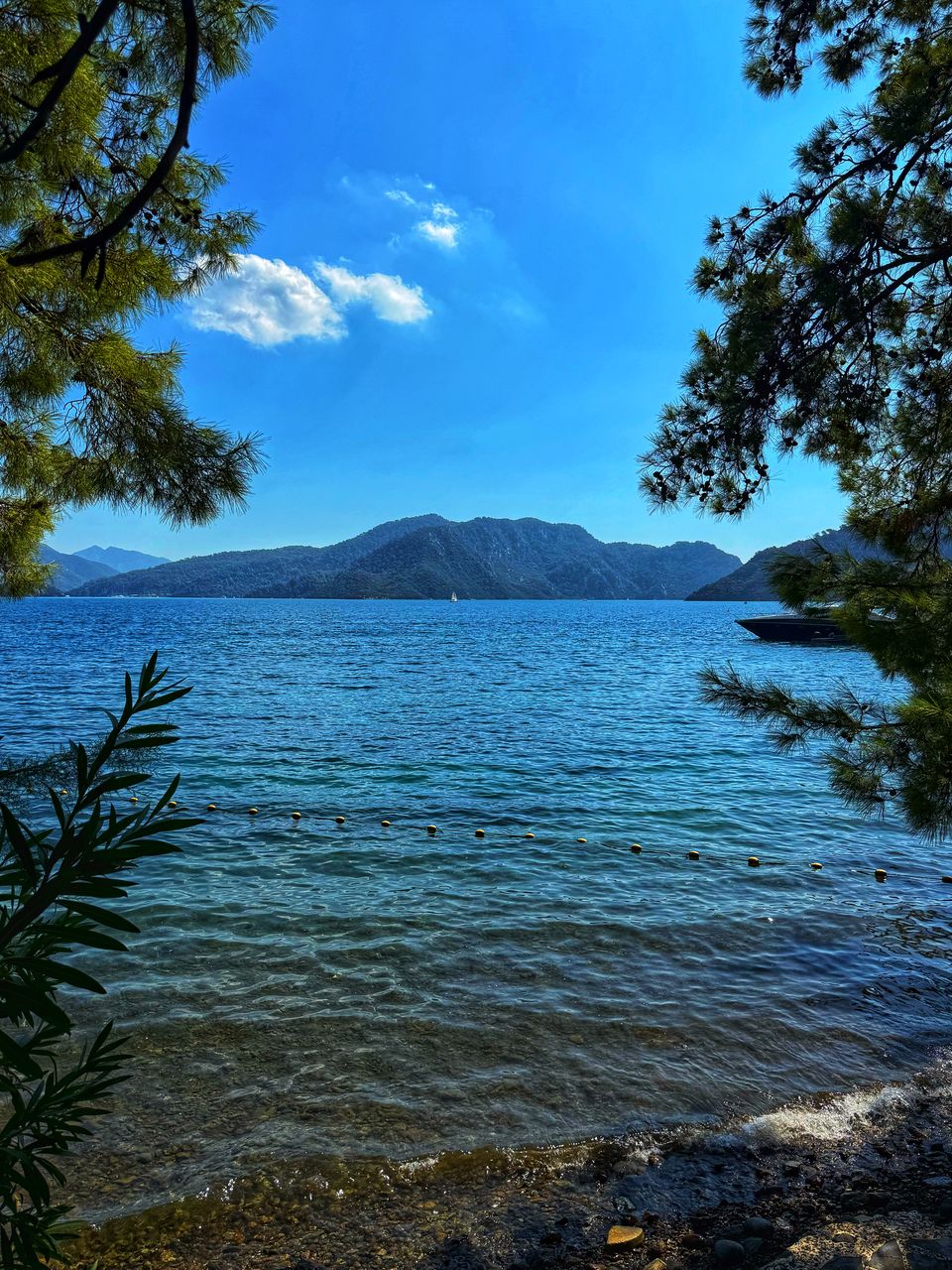 water, nature, tree, body of water, beauty in nature, sky, scenics - nature, plant, mountain, land, tranquility, reflection, sea, tranquil scene, no people, cloud, shore, wilderness, landscape, environment, travel destinations, day, non-urban scene, blue, outdoors, beach, travel, idyllic, coast, forest, sunlight, tourism, rock, island