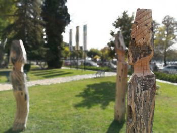 Close-up of statue against trees