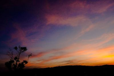 Low angle view of silhouette trees against dramatic sky