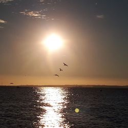 Silhouette birds flying over sea against sky