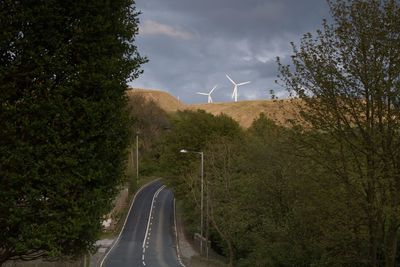 Road amidst plants against sky