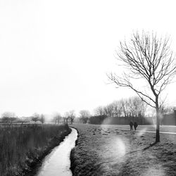 Country road passing through forest