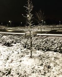 Snow covered field by trees at night