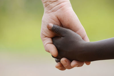 Close-up of hand holding hands over white background