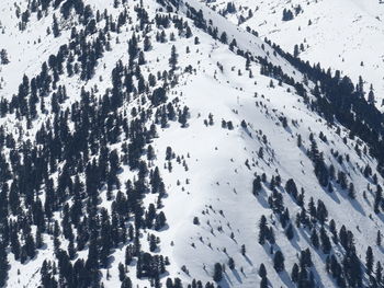 Scenic view of snow covered land