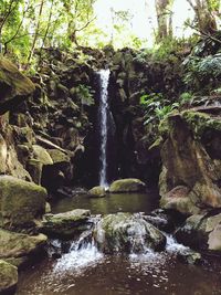 Scenic view of waterfall in forest