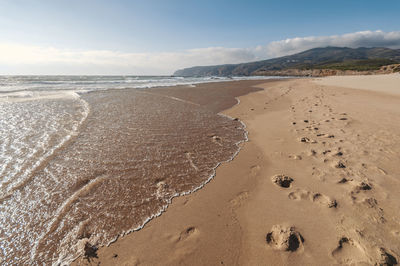 Scenic view of beach against sky