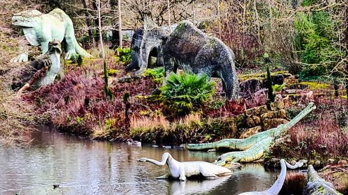 Panoramic view of sheep on rock by lake