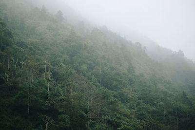 Scenic view of landscape during rainy season