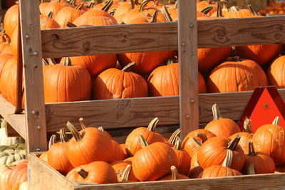 Close-up of pumpkins for sale at market stall