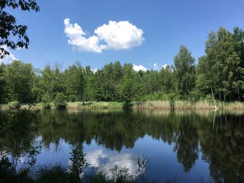 Scenic view of lake by trees against sky