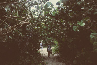 Full length of woman standing on tree trunk