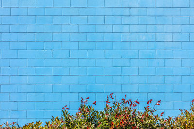 Scenic view of blue wall