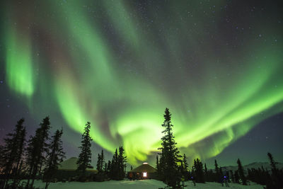 View of trees on landscape against sky at night