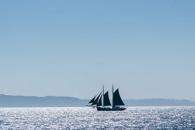 Sailboat sailing on sea against clear sky