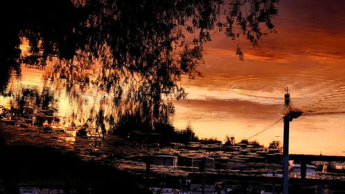 Silhouette of trees and buildings at sunset
