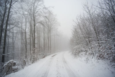 Road amidst bare trees during winter