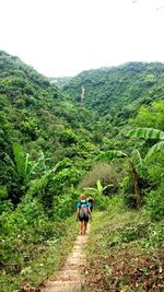 Rear view of men walking in forest