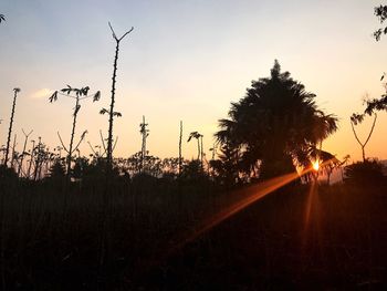 Close-up of silhouette trees against sky at sunset